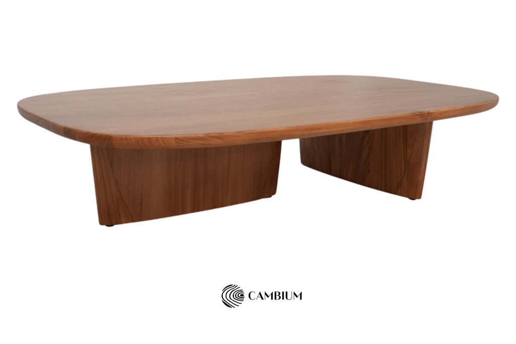 Tobi Ishi Coffee Table