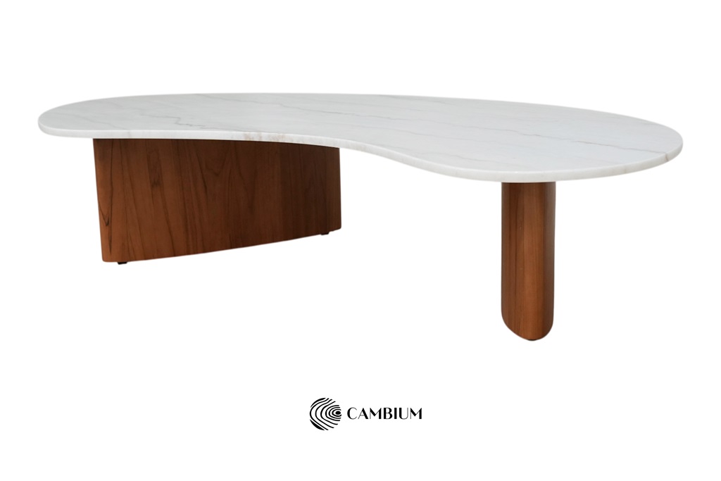 Bean coffee table