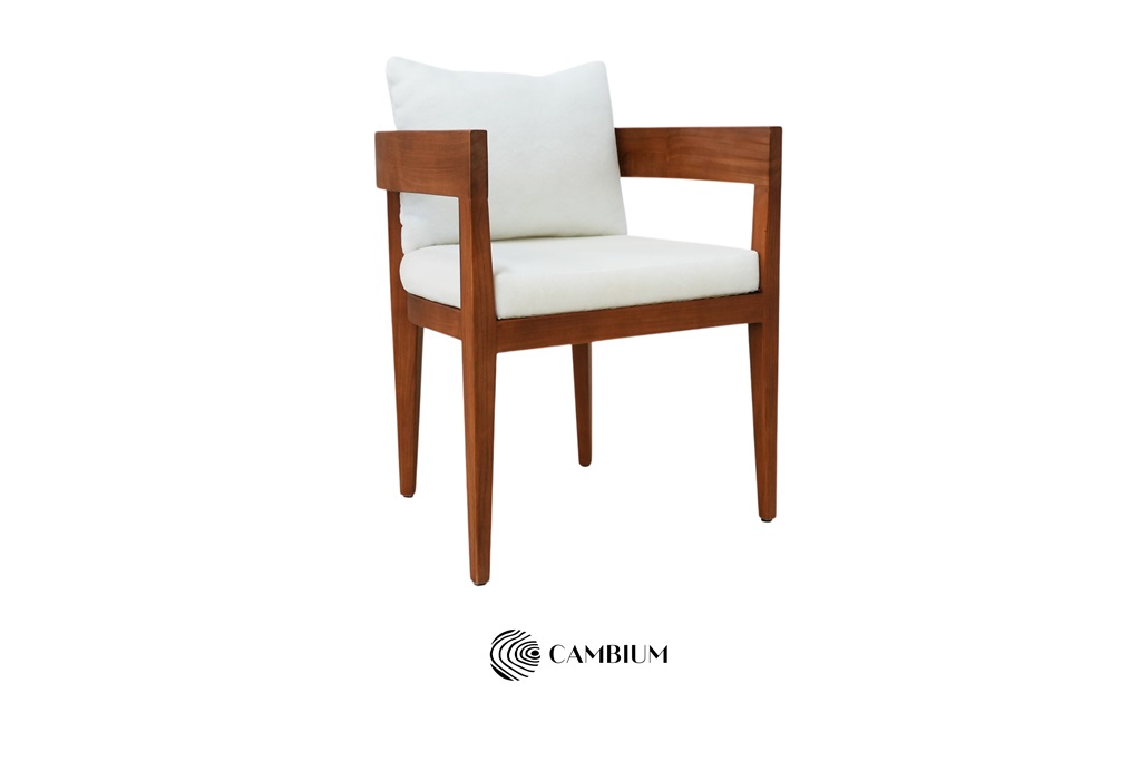 Dining Chair 45 x 50 x 79